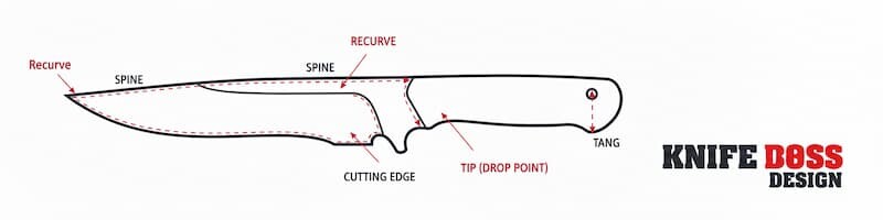 recurve