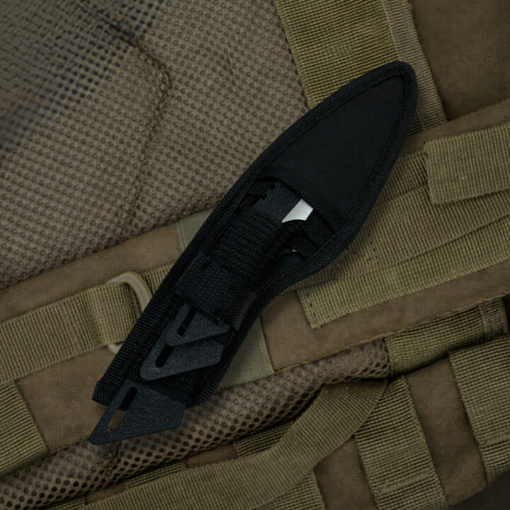 2FRCkW4kZrBgWiQl5WfWaEAjS2vkv7T6