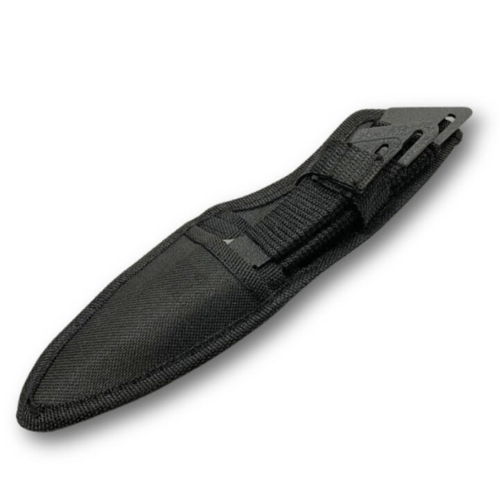 84Sjl3ExV1oN0Z6czYWvbBxPpGaT1eoO